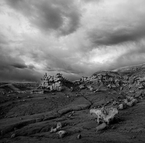 IMG_9726 B&W-Edit-Edit-Edit