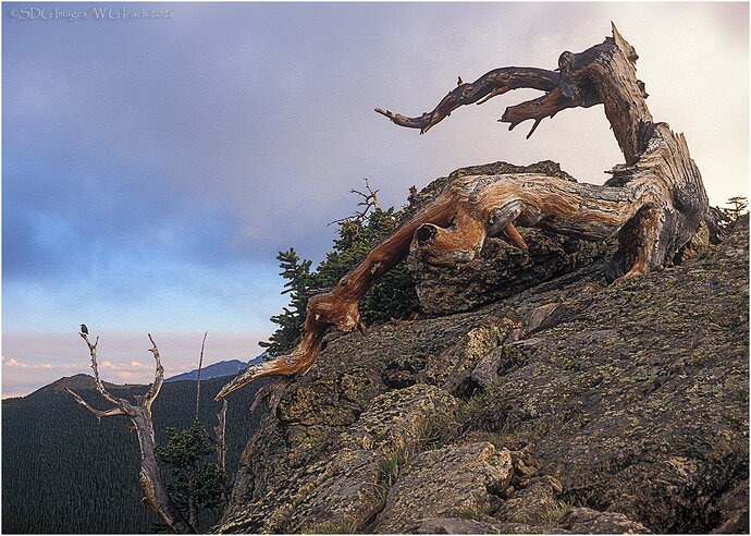 Revision 1 - 04-90-22-Listen-Two-the-Wind-2.jpg