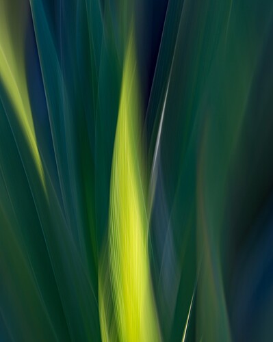 LonOveracker56ZE_3295ICM2-npnMLDCrop1