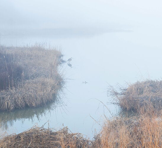 _DSC8128 copy # 2 copy.jpg