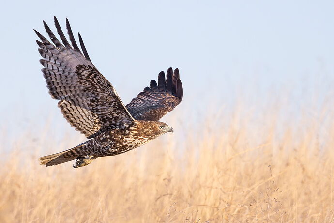 Website-RTHA-Byxbee-October 12, 2025-1.jpg