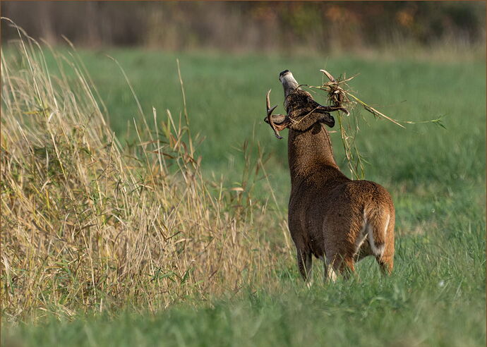 -20251109-_SA12279-untitled-DxO_DeepPRIME 3-Edit.jpg