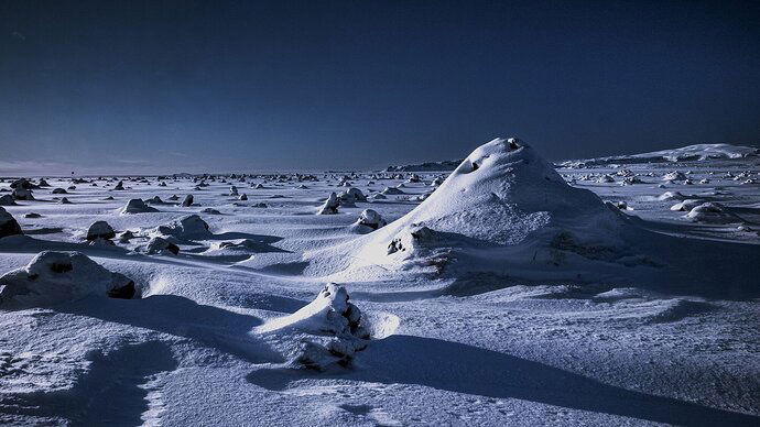 In the dusk of the evening