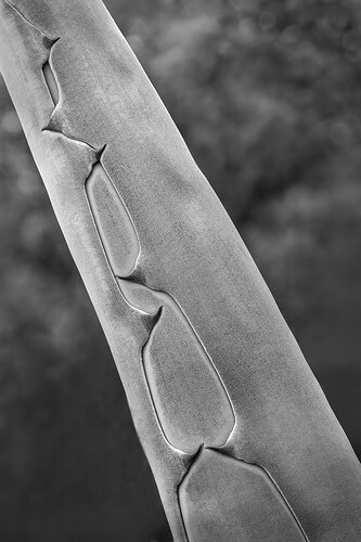 Revision 2 - _49A4850-Edit-Edit-Edit.jpg