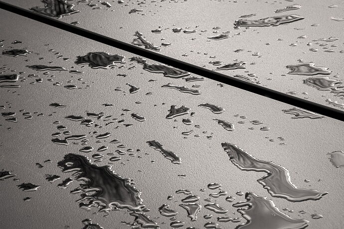 Standing Water .jpg