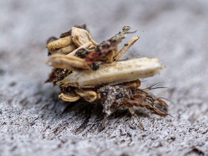 Kristen_SmithJune 02, 2021P1058450