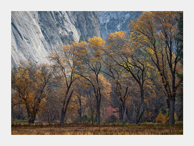 DSC_6129-Edit-2 copy