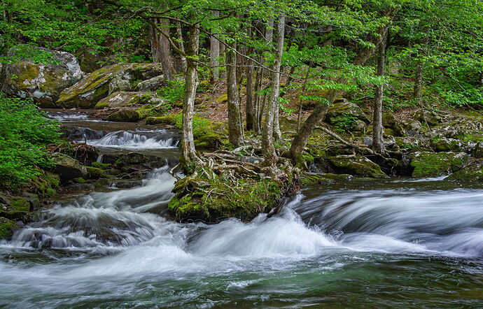 20250528-Confluence-2