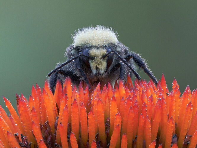 2025-08-20 13-41-34 (B,R11,S5)-Edit-Edit.jpg