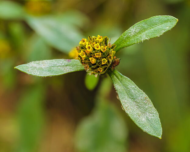 2026-01-04-10.26.06 ZS retouched