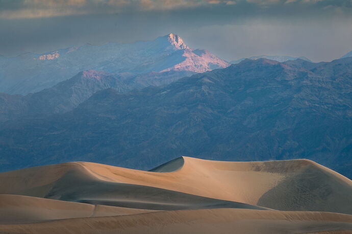 NPN 2025 Best D_Slater.jpg