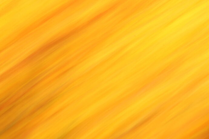 ICM - Tulip 2.jpg