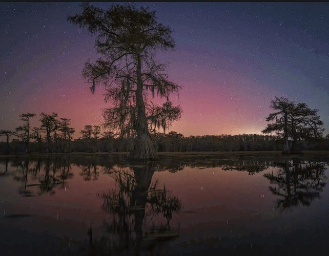 Screenshot 2025-11-25 123613