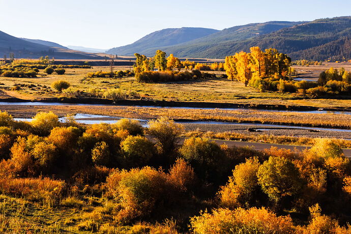 Fall Colors Soda Butte Creek.jpg