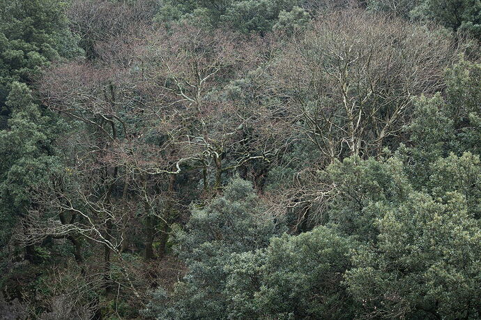 _DSC1409-p-Kopie-1200.jpg