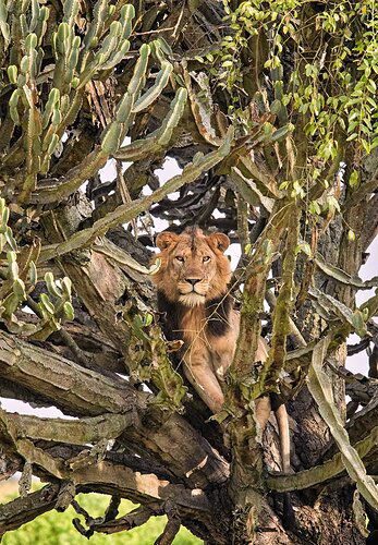 _H3Q9267_HIRES_2-best-so-far-copy-3-Crop