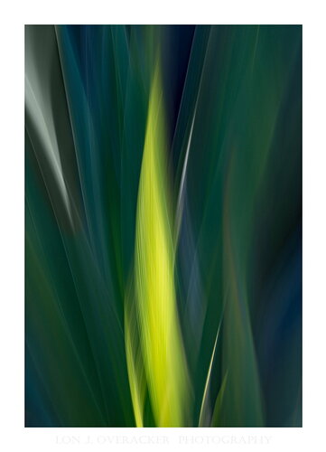 Lon-56ZE_3295ICM2-npn copy