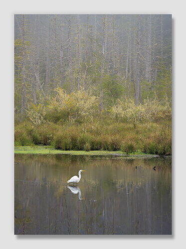 20250812 Upon Reflection 05 1550.jpg