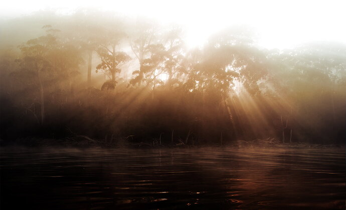 Burning Gold