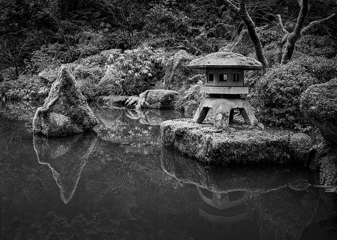 IMG5DMarkIV_0081NPNWebLrg-5