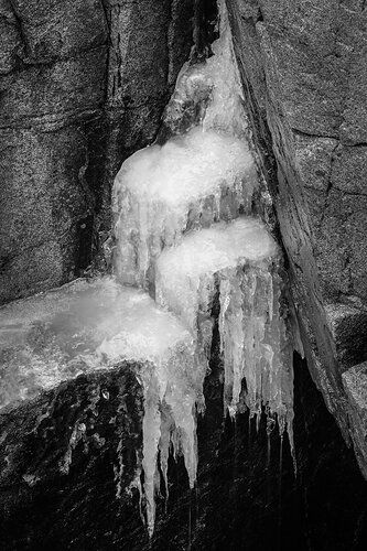 Acadia-Icicles_B&W_