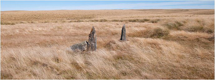 The open gate policy.jpg