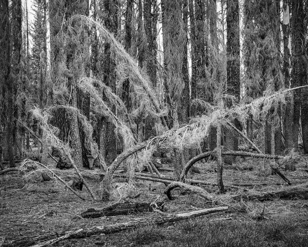 TheTormented_Lassen_CA_July2025_DARK