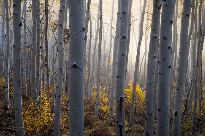 Trevor Top 10--2.jpg