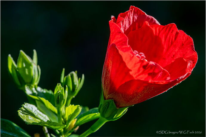 A-Day-Late-4942-HDR-A772-26.jpg