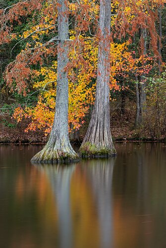 _DSC3106 copyTrap Pond.jpg