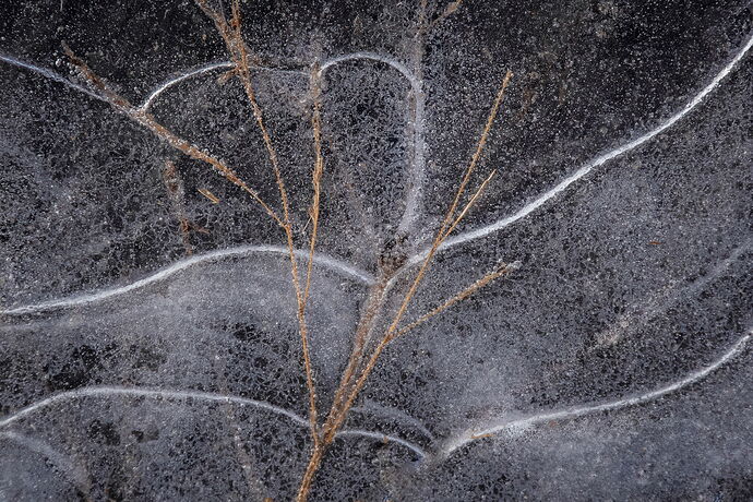 iced in edit