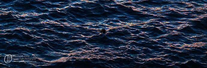 _DSC7549_Water_Pano_NPN