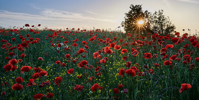 Revision 1 - DSC_1060_HDR 1.jpg
