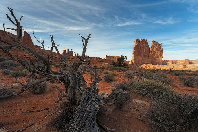 Afternoon at Courthouse Towers II