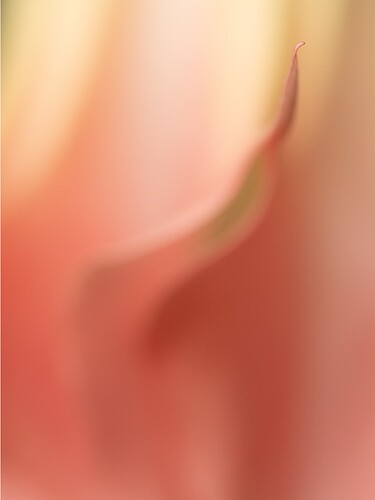 BillFAscendant-69571A7r3-26-b