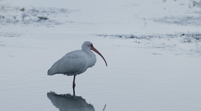 DSC_5127_DxO.jpg