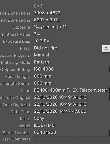 Metadata screenshot