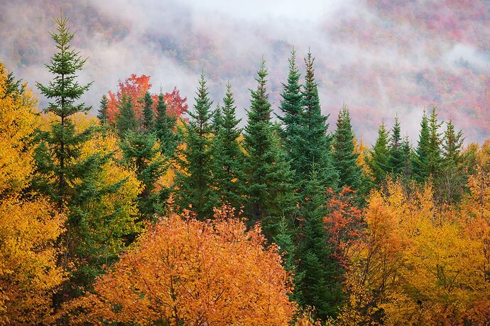 Foggy Mt. Moosilauke Rework