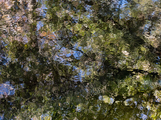 Funky Reflections.jpg