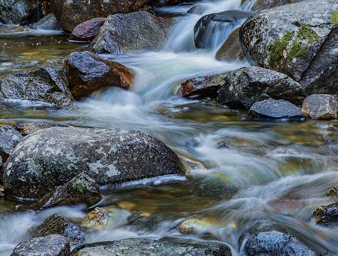 N-D7100-1101-npn.jpg