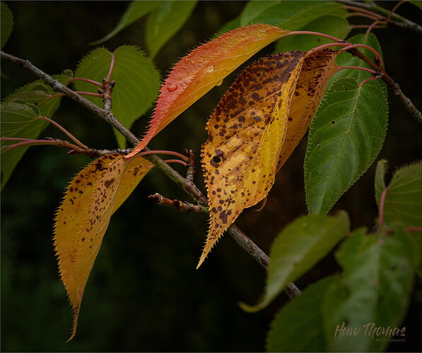 20260902-DSC03502