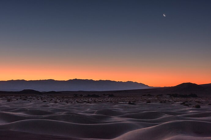 Mesquite Moon