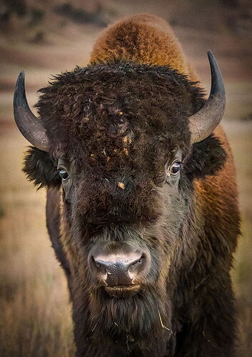 TN2025-_MG_7812-Edit-2-NPN copy