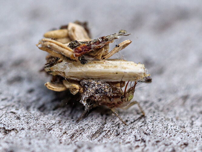 Kristen_SmithJune 02, 2021P1058449