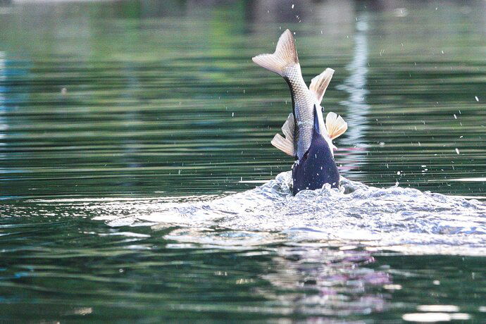 More Than a Mouthful