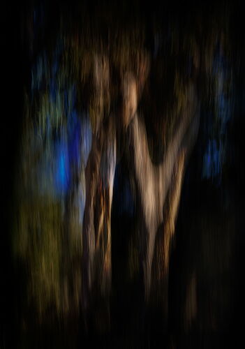 _49A1560-Edit-Edit-Edit-Edit-Edit