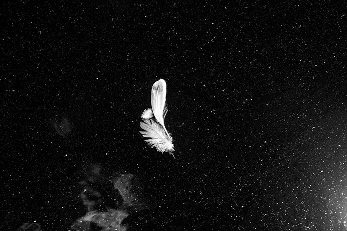 Cosmic Feathers 2025 NE.jpg
