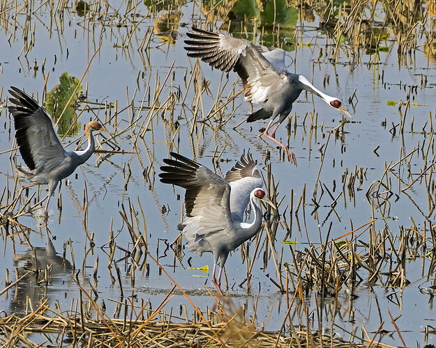 The Whole Family Came.jpg