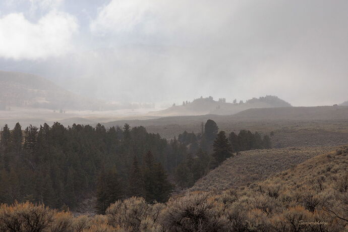 A passing squall.jpg