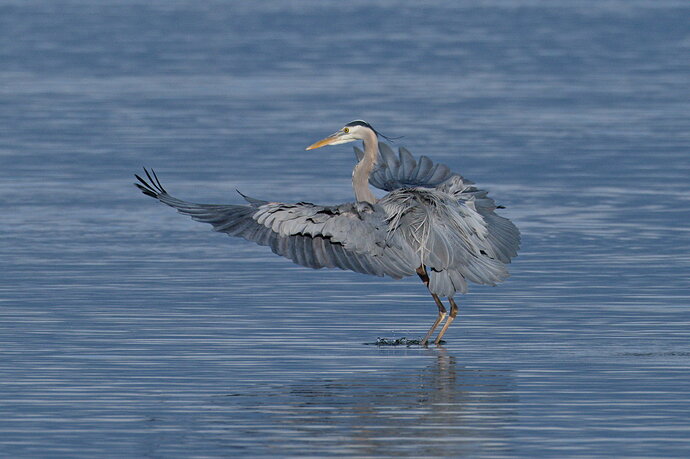 _DSC7610_DxO